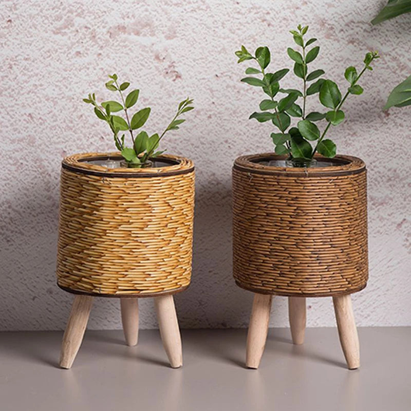 Rattan Pflanzenkörbchen