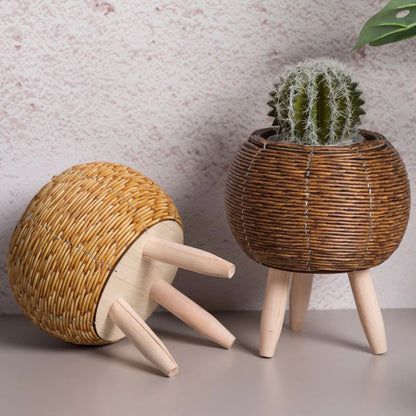 Rattan Pflanzenkörbchen